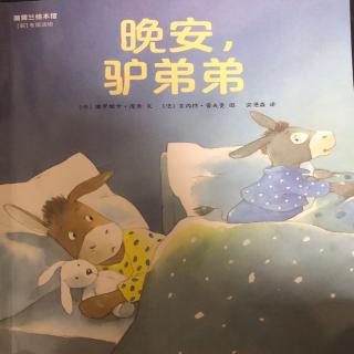 晚安，驴弟弟😴