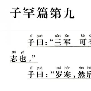 57、《论语》讲解版（子罕篇9.26 & 9.28）