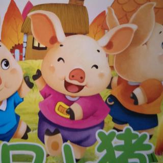 书香国际幼儿园S1班崔旻熙《三只小猪》