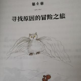 《那一年，叶子没有落下来 第四章寻找原因冒险之旅01》