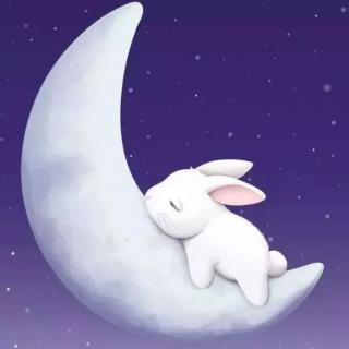 睡前故事——小兔子等月亮
