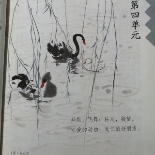 四下 13 猫