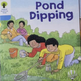 Pond Dipping