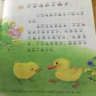 小公鸡和小鸭子和树和喜鹊。