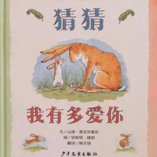 《猜猜我有多爱你》