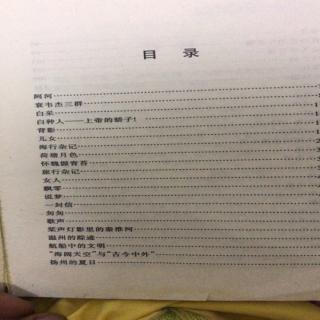 莱茵河