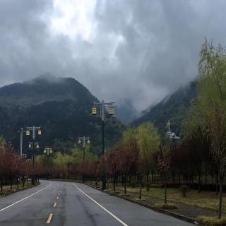 雨来🌧️～晨光