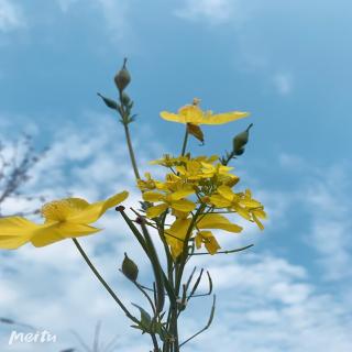 天会亮，雨会停，生活都是这样的 - 晨光💋🎀