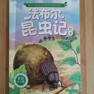 19 阴谋与战争——圣甲虫