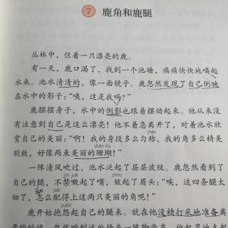 鹿角和鹿腿课文图片图片