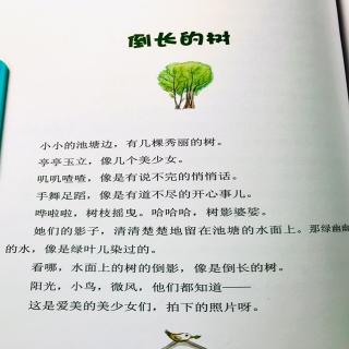 《倒长的树》