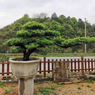 《重建个人品牌》