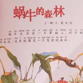 蜗牛的森林