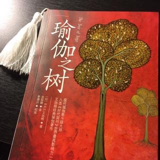 瑜伽之树1.5: 生命的四大目标