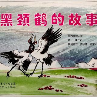 《黑颈鹤的故事》——主播焦馆长