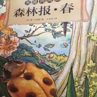 森林报.春5.(小动物们的花招)