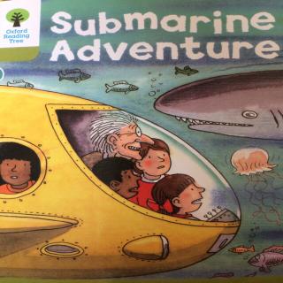 Submarine adventure