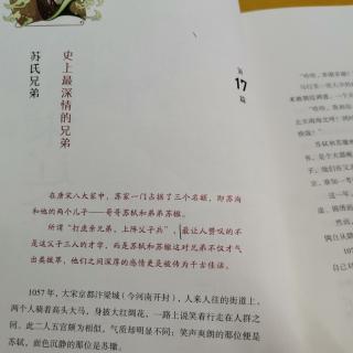 淼淼讲历史故事苏氏兄弟