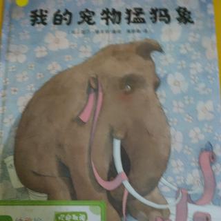 《我的宠物猛犸象》~幼稚绘晚安绘本故事