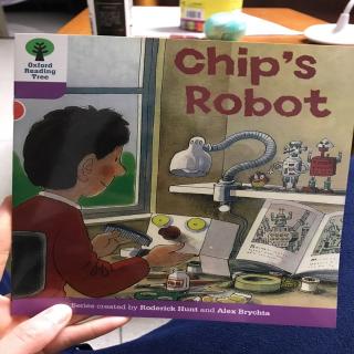 chip's robot