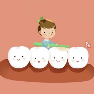 惠幼早播报《为什么牙齿的形状不同》