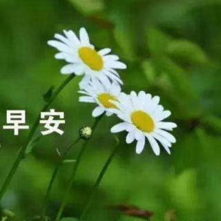紫轩堂晨读第1144期～主播杏子《答应自己，珍惜时间！》