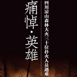 《淬火金刚》作者：弓晓平