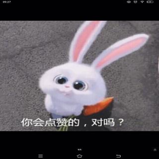 第三单元知识小结