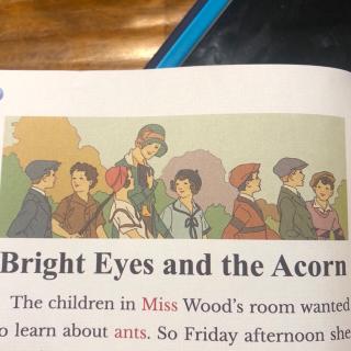 Bright Eyes and the Acorn