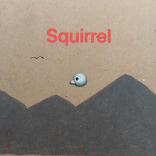 韵律诗squirrel📖