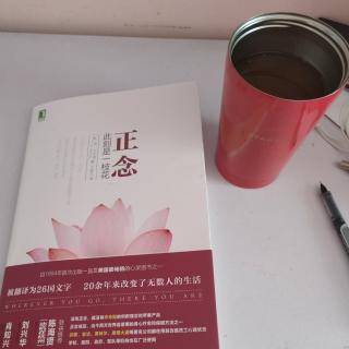 你无法遏制波浪，但你可以学会冲浪🏄