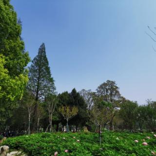 天会亮，雨会停，生活都是这样的