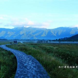 《我爱这土地》艾青/芳菲诵