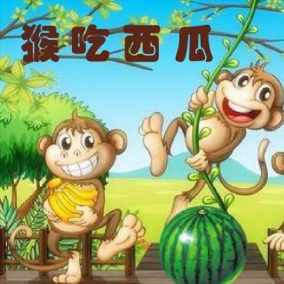 园长妈妈👩🏻讲睡前故事《猴吃西瓜》