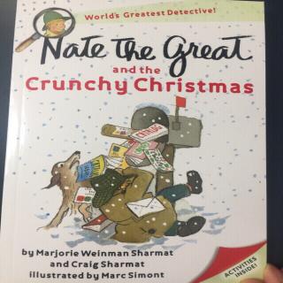 Nate and the crunchy Christmas-6