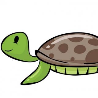海龟的记忆力为什么好