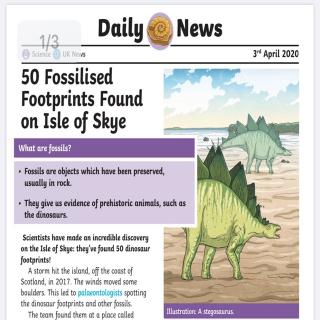 daily news Fossilised footprints on isle