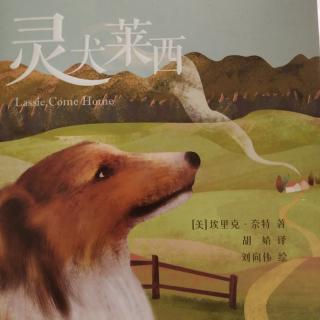 《灵犬莱西》第三集