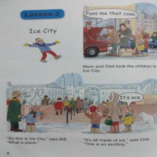 Ice City