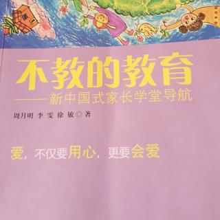 《不教的教育》第二编第五节5.陪伴者、支持者和玩伴