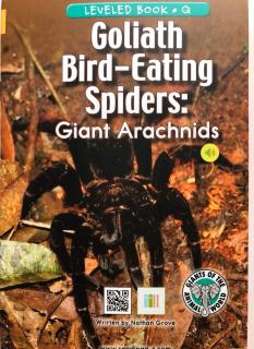 Day852: Q31 Goliath Bird-Eating Spiders Giant Arachnids 4.6.2020