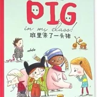 七彩童年幼儿园晚安故事《班里来了一头猪》