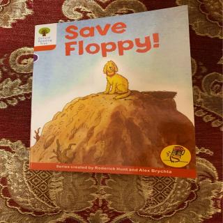 20200406oxford-Save Floppy!