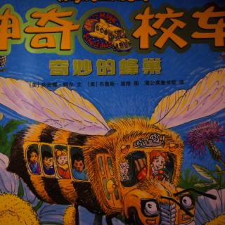 神奇校车之奇妙的蜂巢