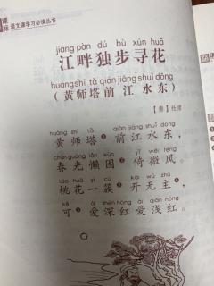 江畔独步寻花(黄师搭前江水东)