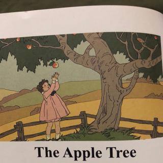 The Apple Tree