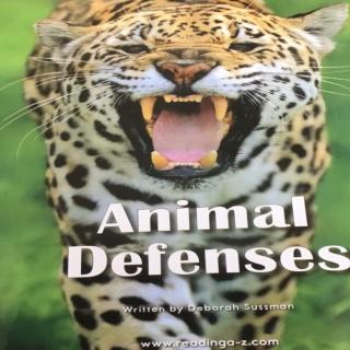 Animals defenses