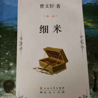 《细米》第八章7.8