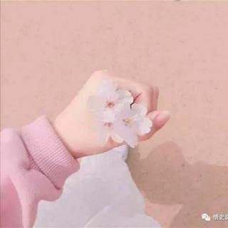 古筝曲《赶花会》片段