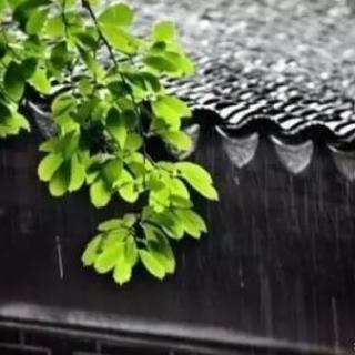 范文《雨的随想》